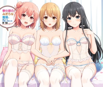 Houshi-bu no Kanojo-tachi no Uragawa. cover