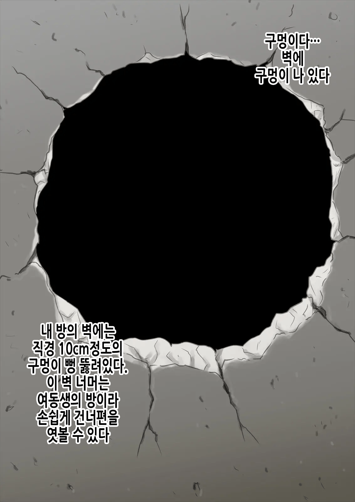 Mama wa Nama Onahole ~Kyouko wa Musuko Senyou Sei Gangu~ | 엄마는 생오나홀 ~쿄코는 아들 전용 장난감~ page 3 full