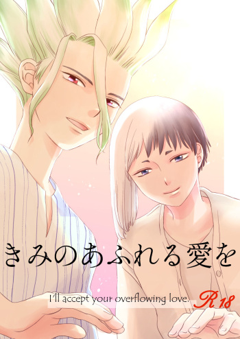 Kimi no Afureru Ai o cover