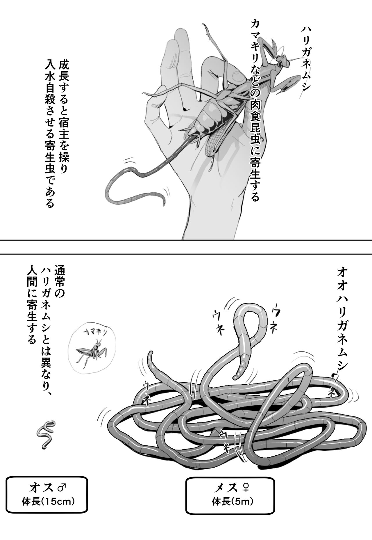 Oohariganemushi No Seitai page 1 full