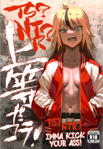 TS? NTR? Joutou da Kora! | TS? NTR? Imma Kick Your Ass! cover