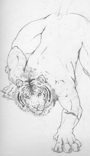 Art Collection cover
