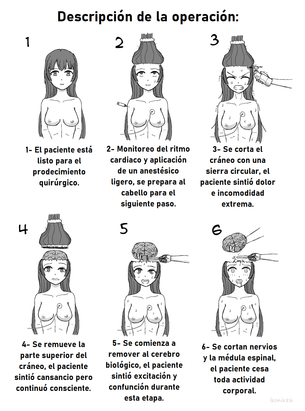 Ciber Actulización Cerebral page 2 full