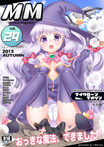 Microne Magazine Vol. 29 cover