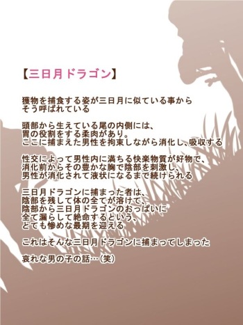 Mamono Musume Series "Mikazuki Dragon" cover
