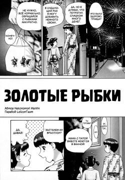 Kintoto | Золотые рыбки