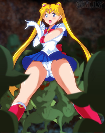 sailormoon vs goblins cover