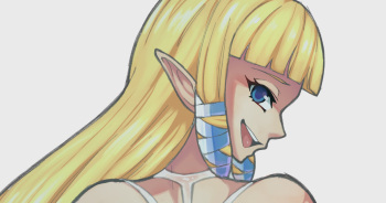 SS Zeldass cover