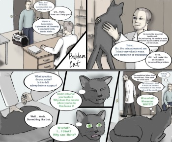 Problem Cat cover
