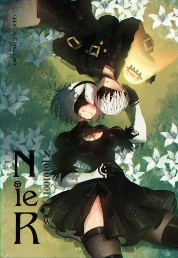 Nier NFW cover