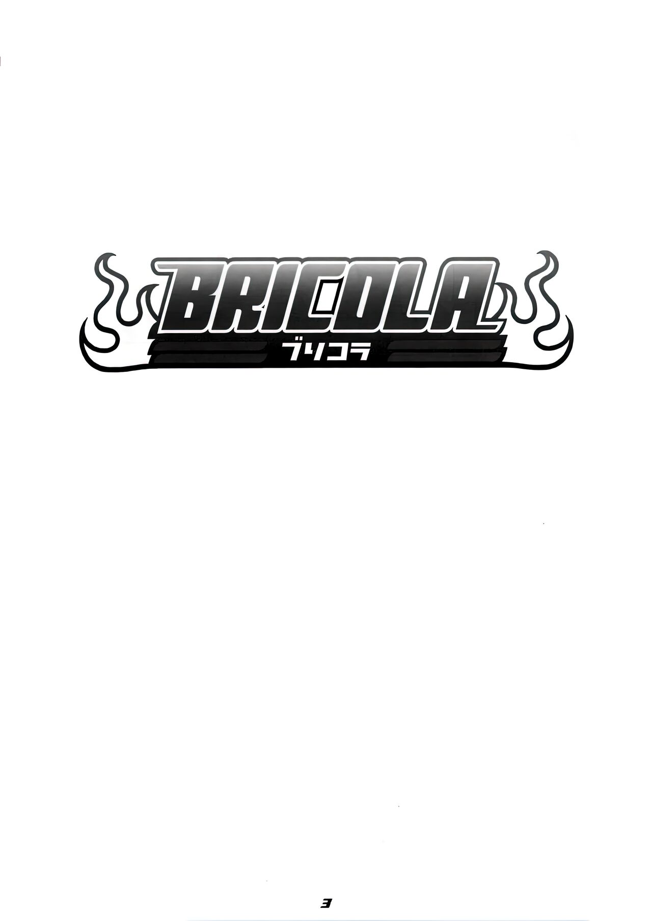 BRICOLA page 2 full