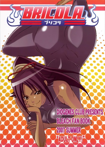 BRICOLA cover