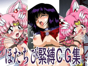 Hota Chibi Kinbaku CG Shuu cover