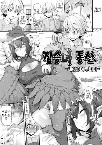 Kemonokko Tsuushin ~Toriko Rupia~ | 짐승녀 통신 ~새녀 루피아~ cover