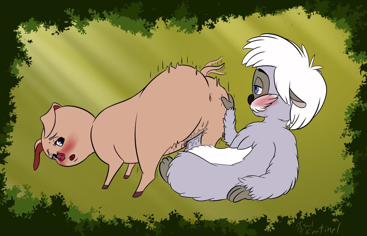Breeding Sows page 8 full