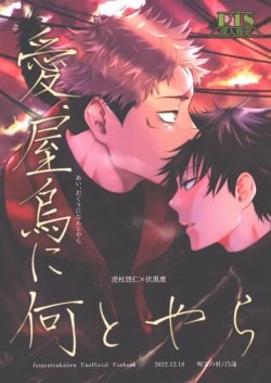 Ai ya karasu ni nani toyara