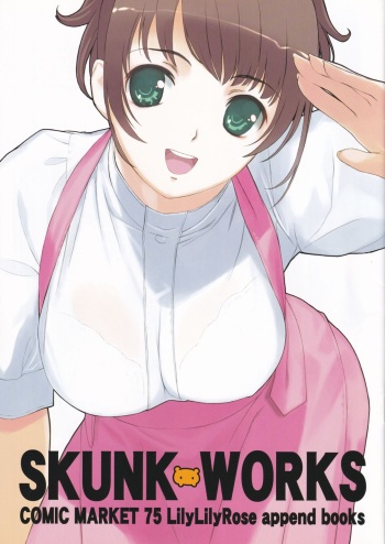 SKUNK WORKS cover