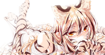 ◆FANBOX◆ EDF cover
