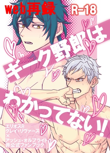 Geek Yarou wa Wakattenai! cover
