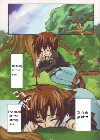 Nyandam SEED 2 cover
