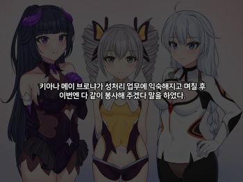 Sexual Processing Valkyrie Service Edition cover