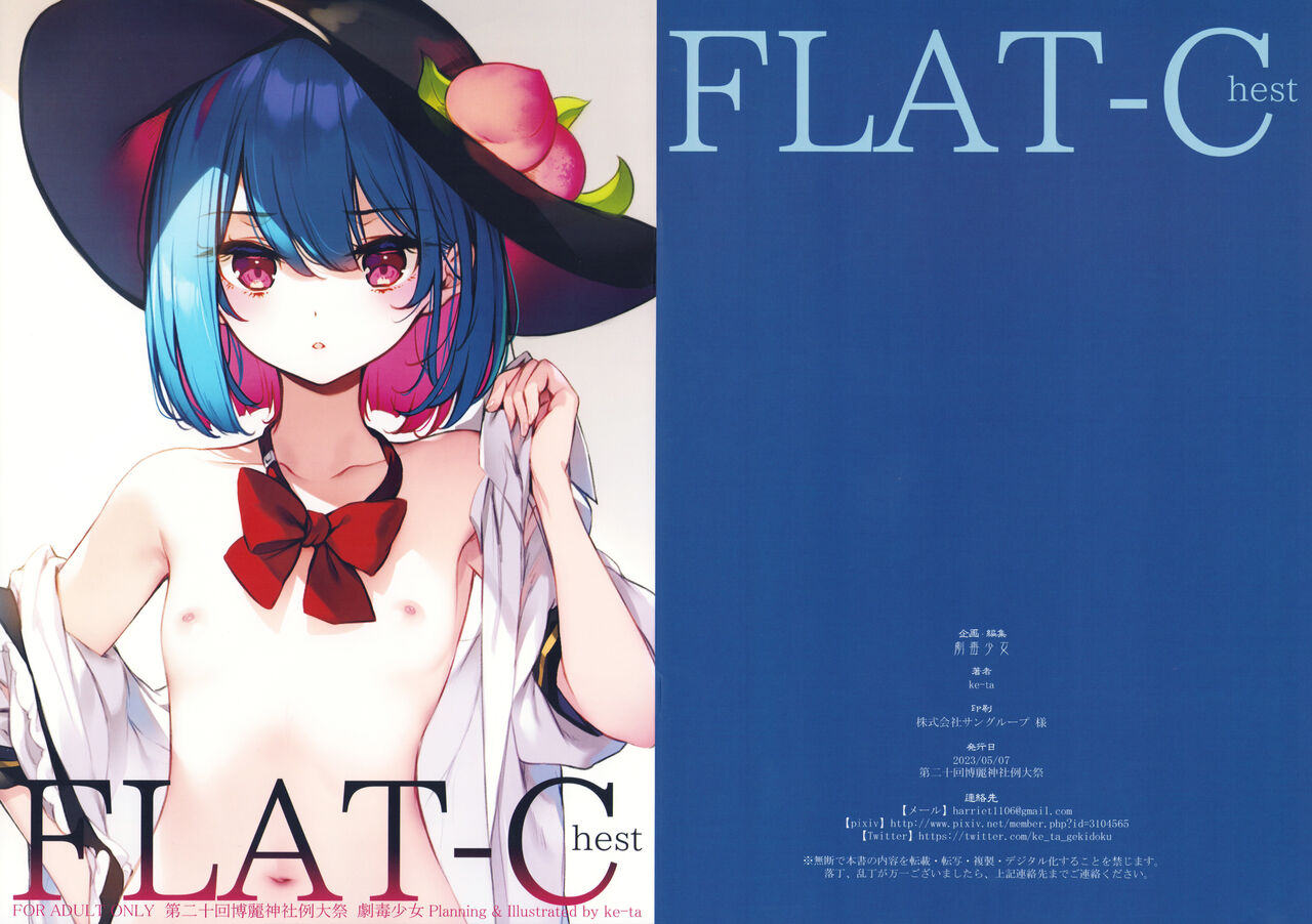 FLAT-Chest page 1 full