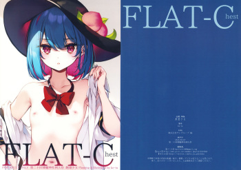 FLAT-Chest cover