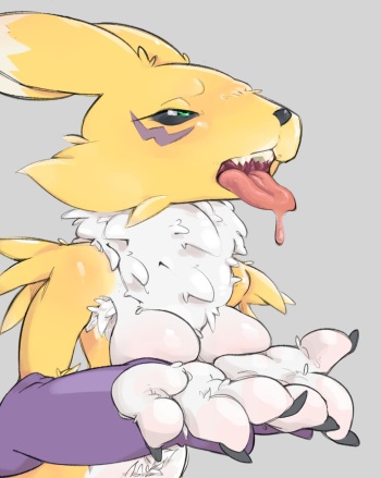Renamon cover