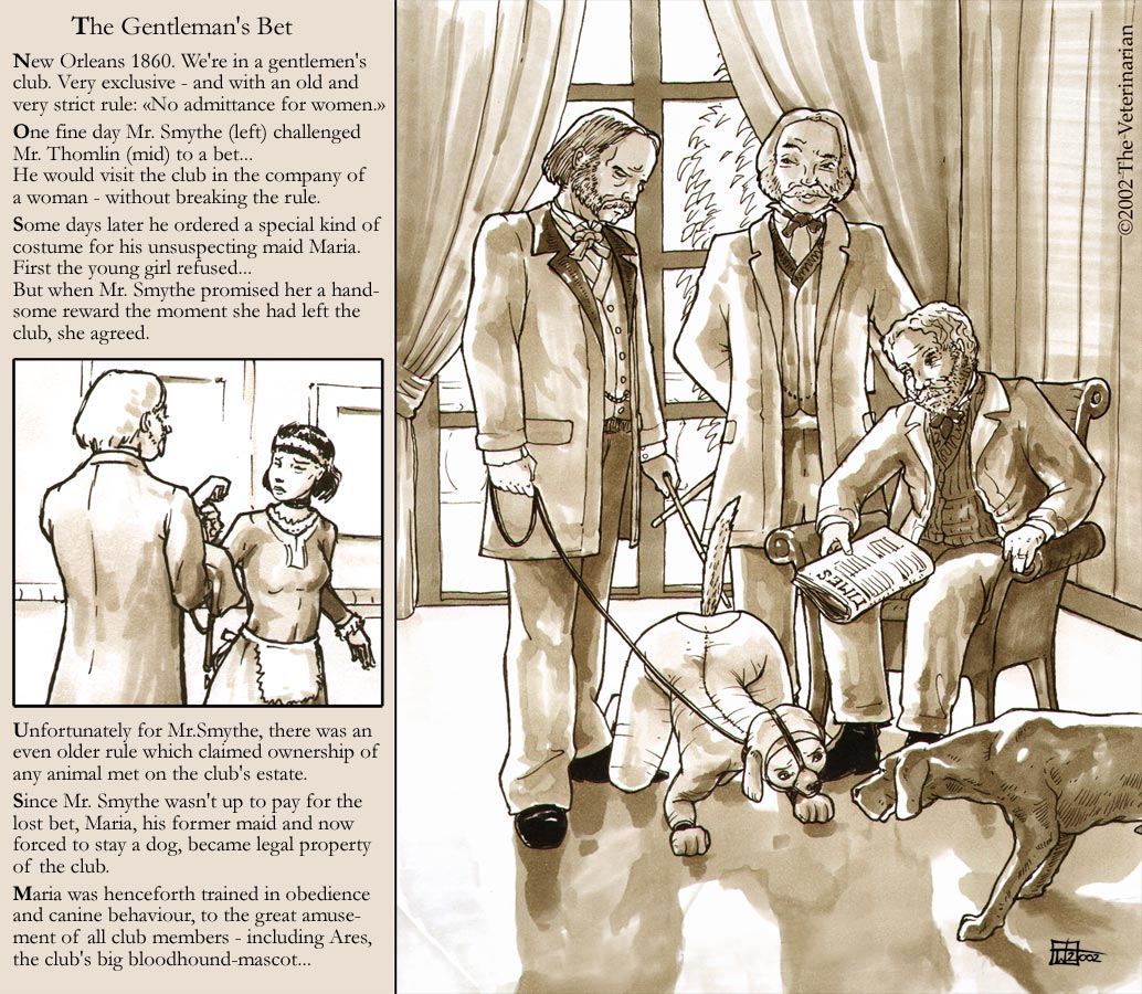 Artist Gallery - The Veterinarian page 7 full