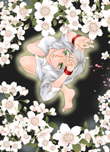 Hanakagome cover
