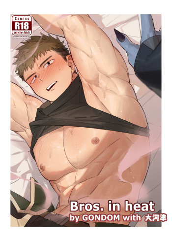 Bros. in Heat cover