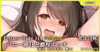 Ecstasy Stage 114 Premium バニー卯月と濃厚エッチ cover