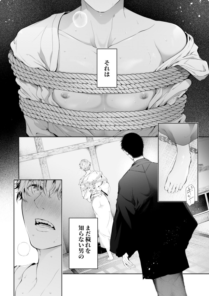 Seikan Gishiki Konya、 Ore no Seieki wo Sasagemasu page 4 full
