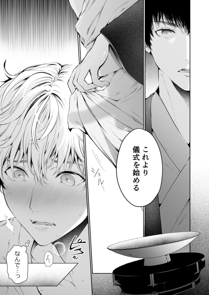 Seikan Gishiki Konya、 Ore no Seieki wo Sasagemasu page 7 full