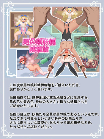男の娘妖精博物館 cover