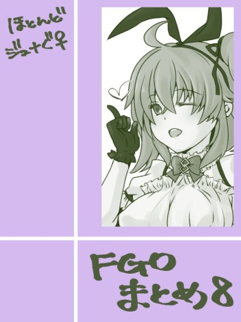 FGO rogu matome 8 cover