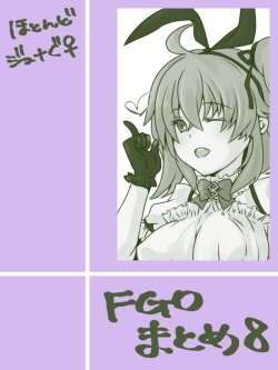 FGO rogu matome 8