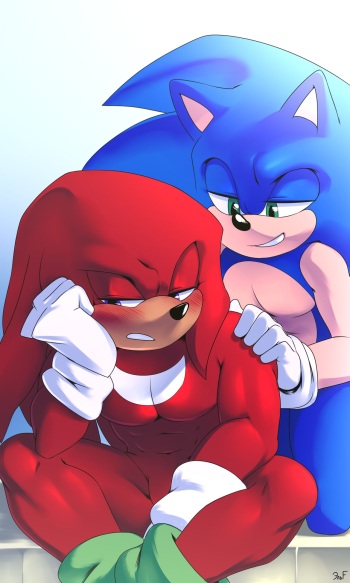 Shaking Up The Skies: Sonknux Comic cover