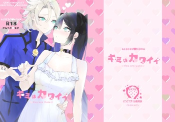 Kimi wa Kawaii cover