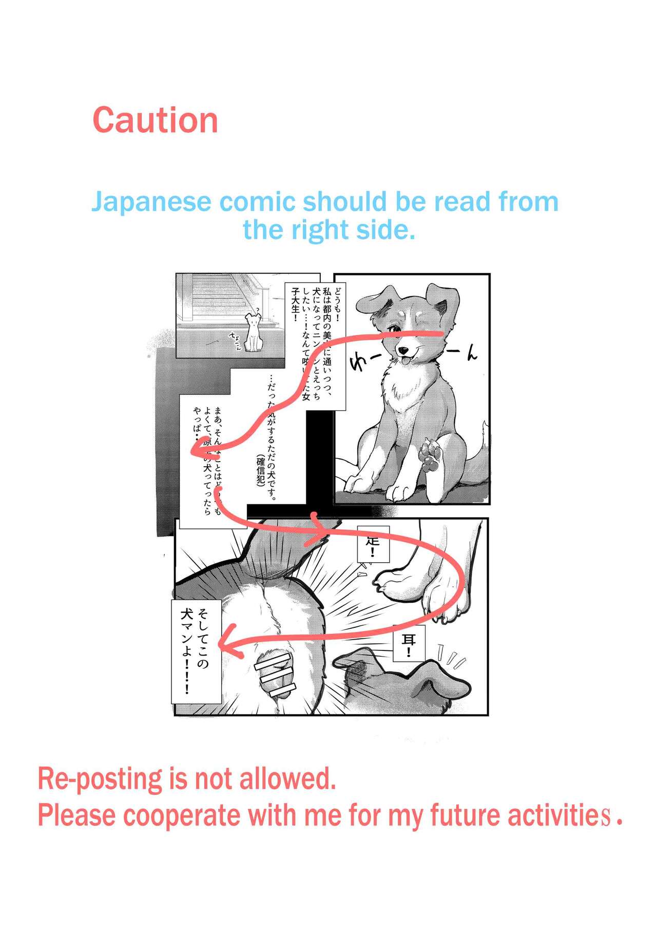 Wonderful! 0.5 page 2 full