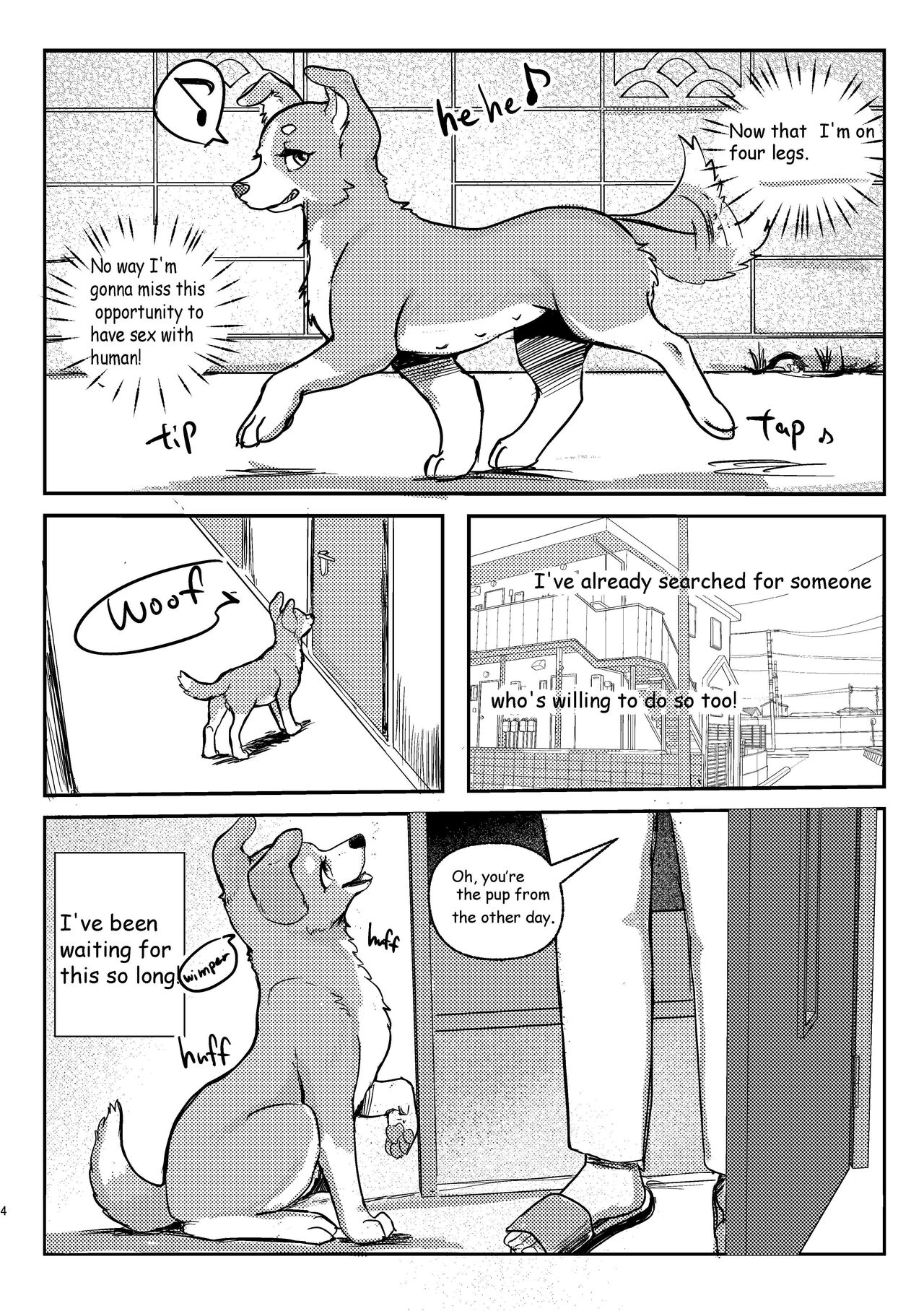 Wonderful! 0.5 page 4 full