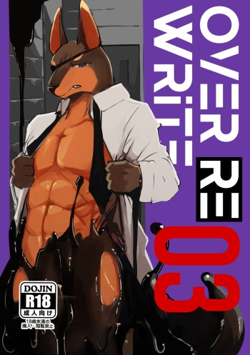 over-Re-write 3 cover