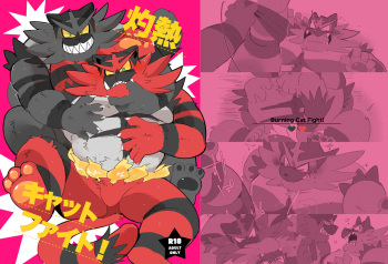 Shakunetsu Cat Fight! - Burning Cat Fight! cover