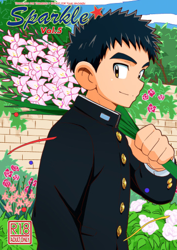 Sparkle Vol. 5 cover