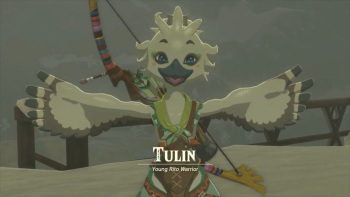 Tulin cover