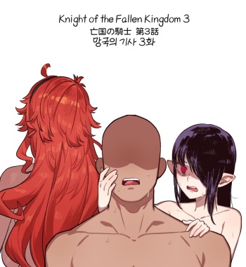 Knight of the Fallen Kingdom 3 cover