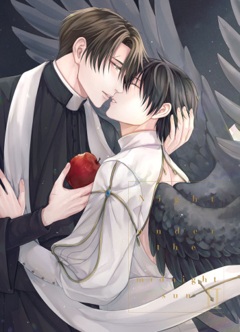 Night under the midnight sun ✜ Ⅱ cover