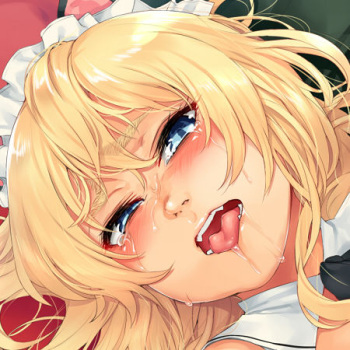 Pixiv Artist - Sheairkuaki cover