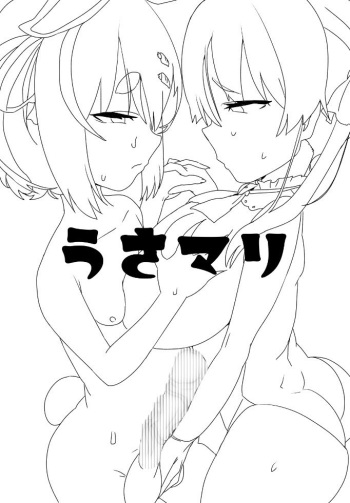 Usa-Marine cover