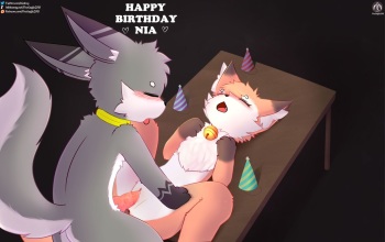 Nia Birthday Party cover